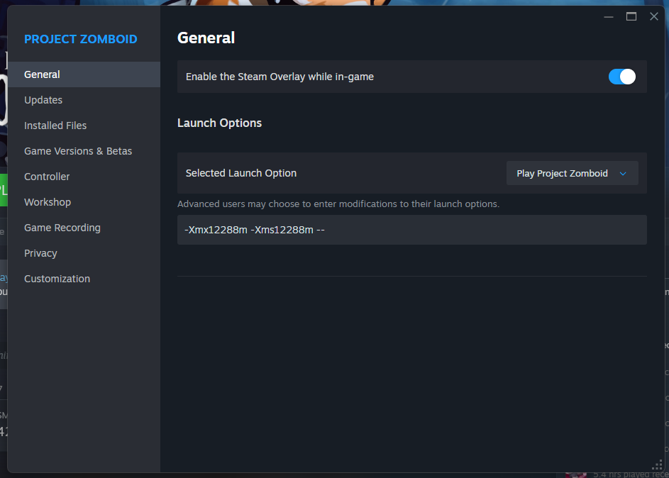 Screenshot showing adding 12GB RAM/Memory Allocation to Project Zomboid via steam arguments