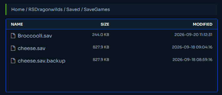 rsdragonwilds_filemanager_uploadsave.png