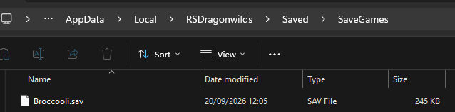 rsdragonwilds_localfiles.png