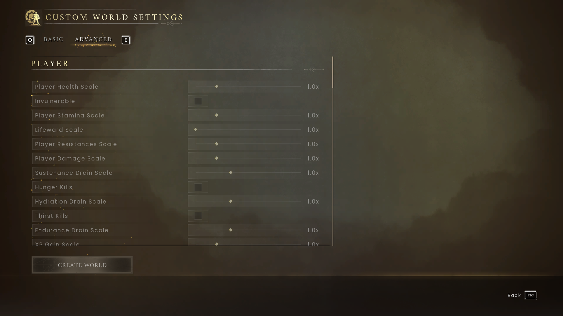 rsdragonwilds_settings.png